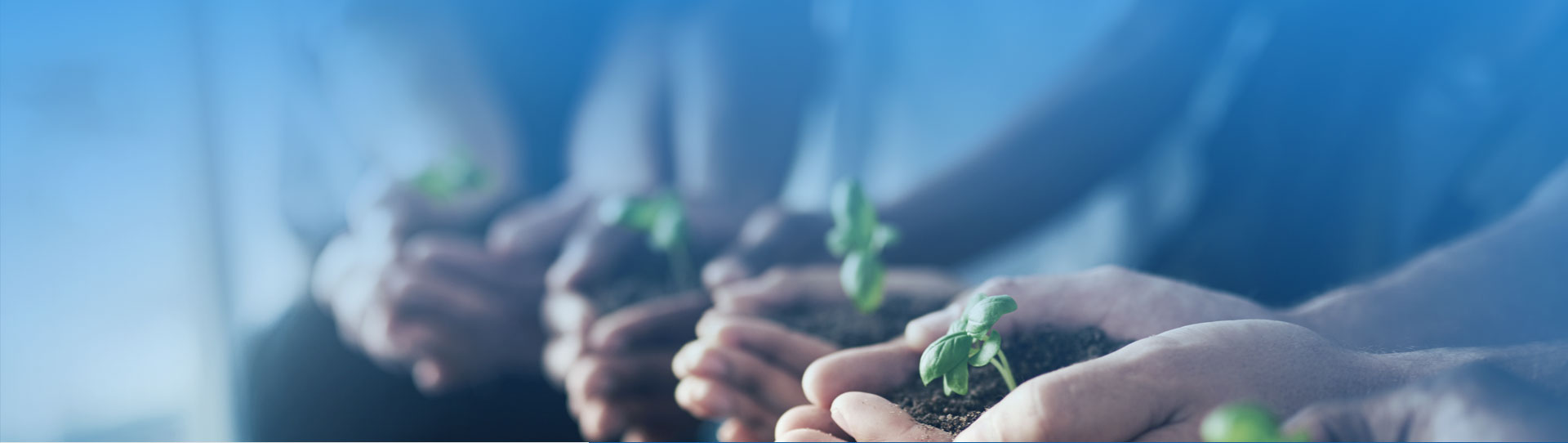 威客电竞·(中国)VKGAME